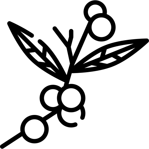 Acidez
